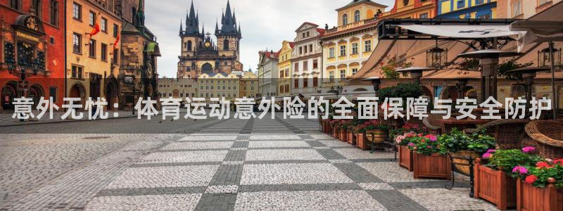 速球体育官网入口