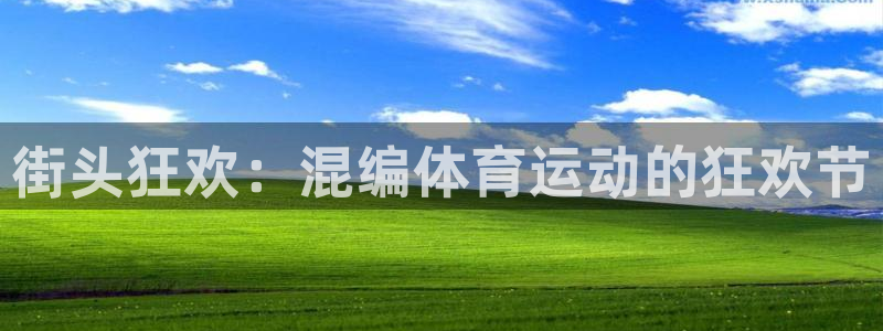 速球体育官网下载
