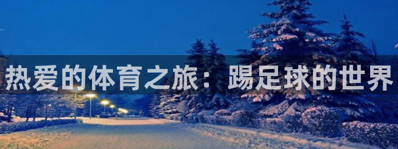 速球体育app官网入口