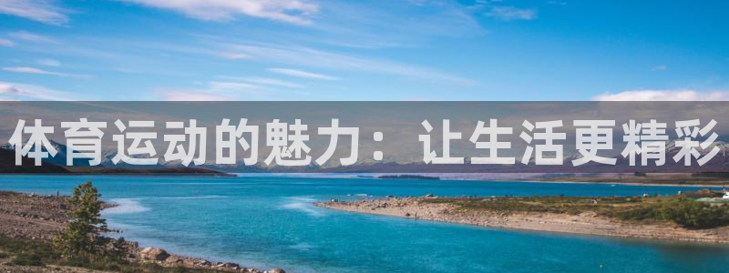 速球体育官方入口地址