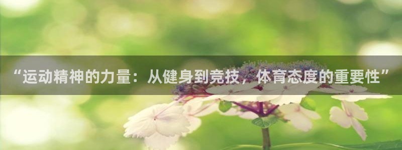 速球体育app最新版