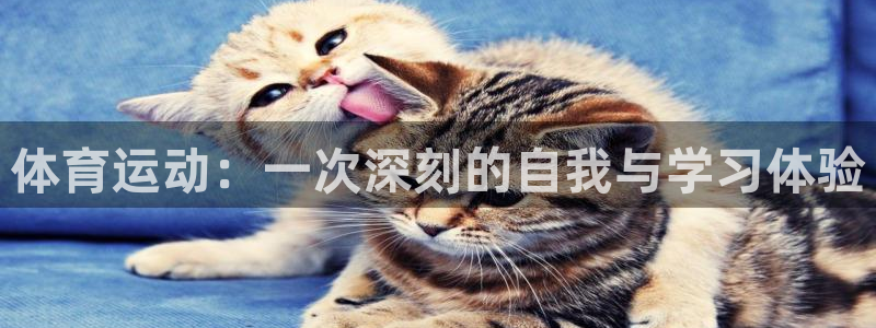 速球体育