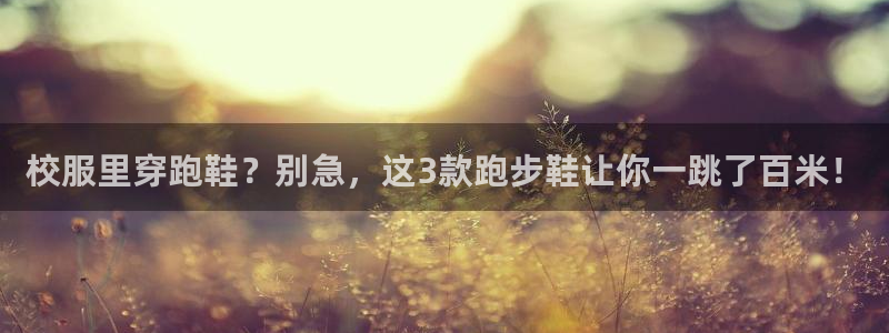 关键词
