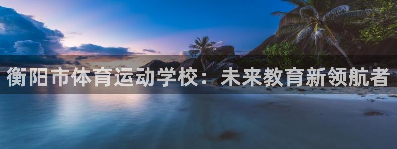 速球体育官方入口地址
