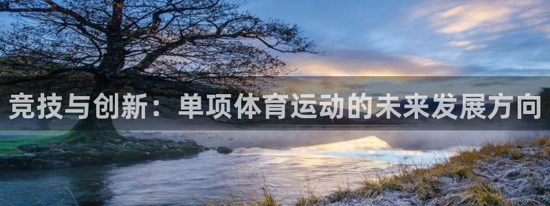 速球体育官方入口地址