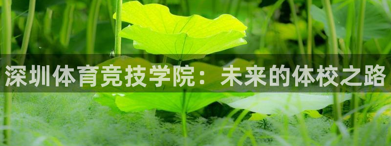 关键词：深圳体育竞技学院：未来的体校之路