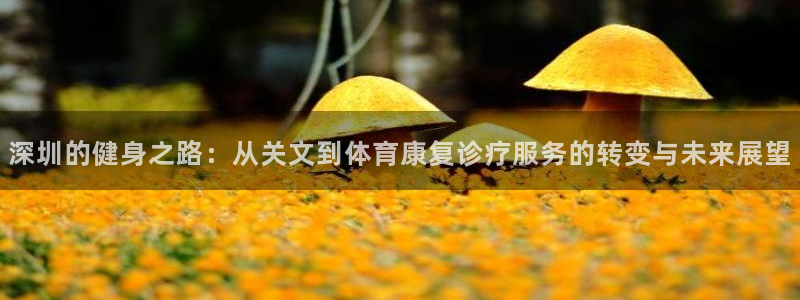 速球体育网址