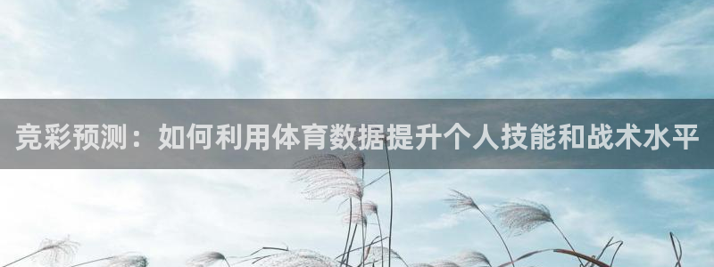 速球体育官网下载