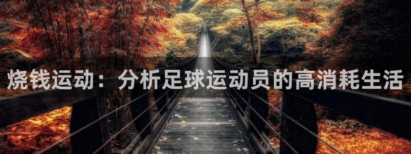 速球体育正规不