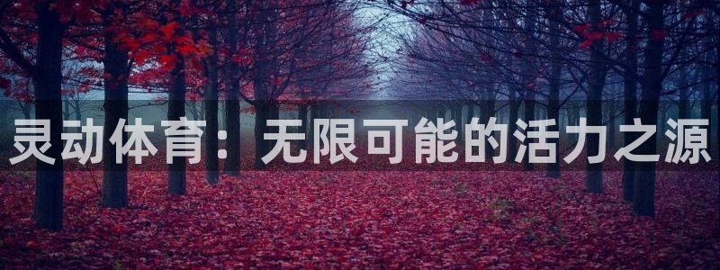 速球体育App下载
