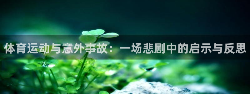 速球体育：体育运动与意外事故：一场悲剧中的启示与反思