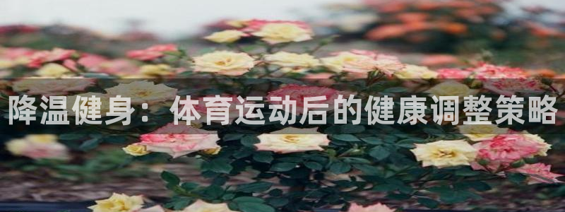 速球体育正规不：降温健身：体育运动后的健康调整策略