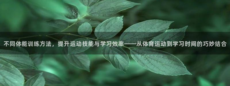 速球体育正规不：不同体能训练方法，提升运动技能与学习效率——从体育运动到学习时间的巧妙结合